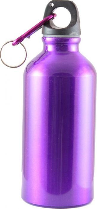 Бутылка питьевая с карабином 400мл