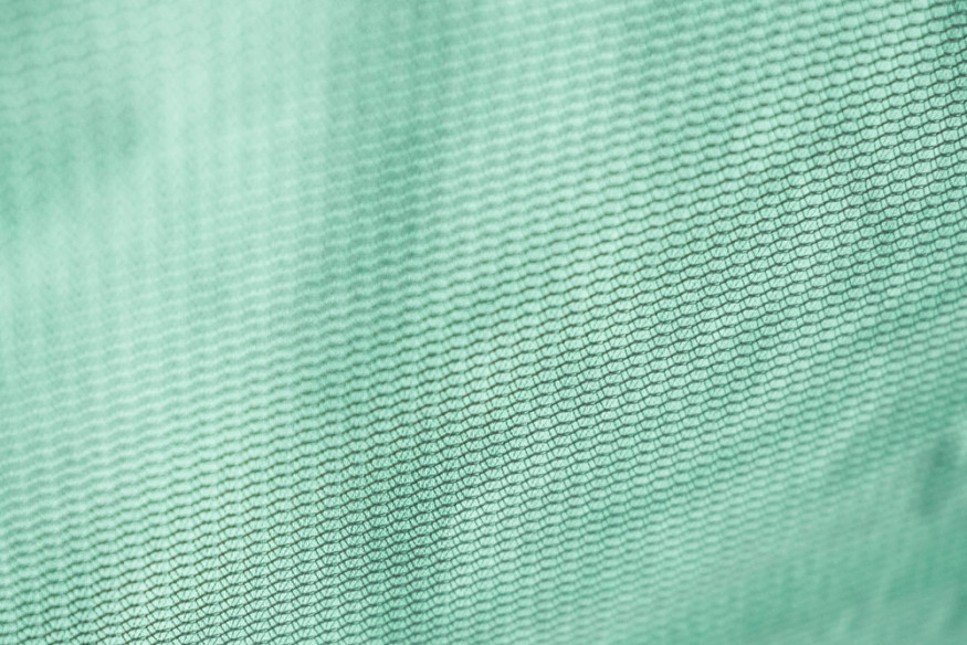 Палатка кемпинговая Talberg Bigless 4